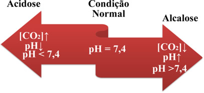 http://s5.static.brasilescola.com/img/2013/06/alcalose-e-acidose.jpg